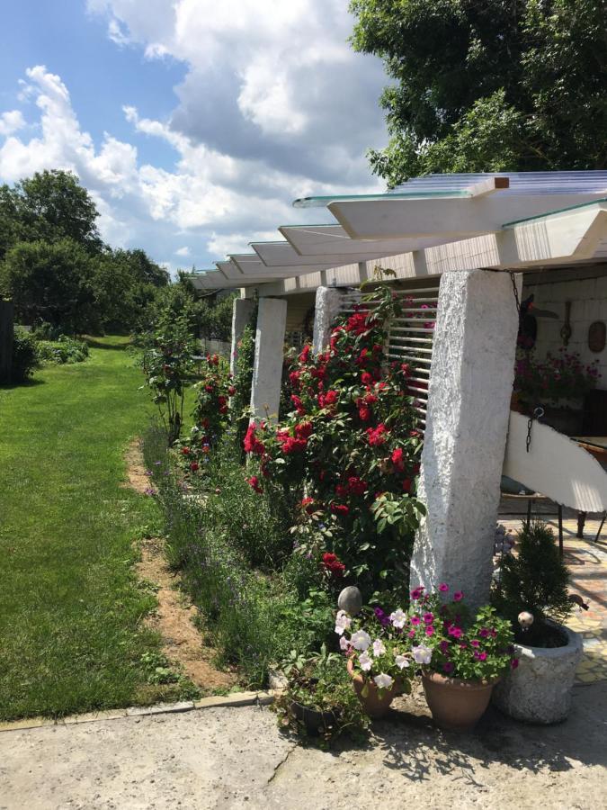 Agroturystyka "Pod Bluszczem" Krasnobród 外观 照片