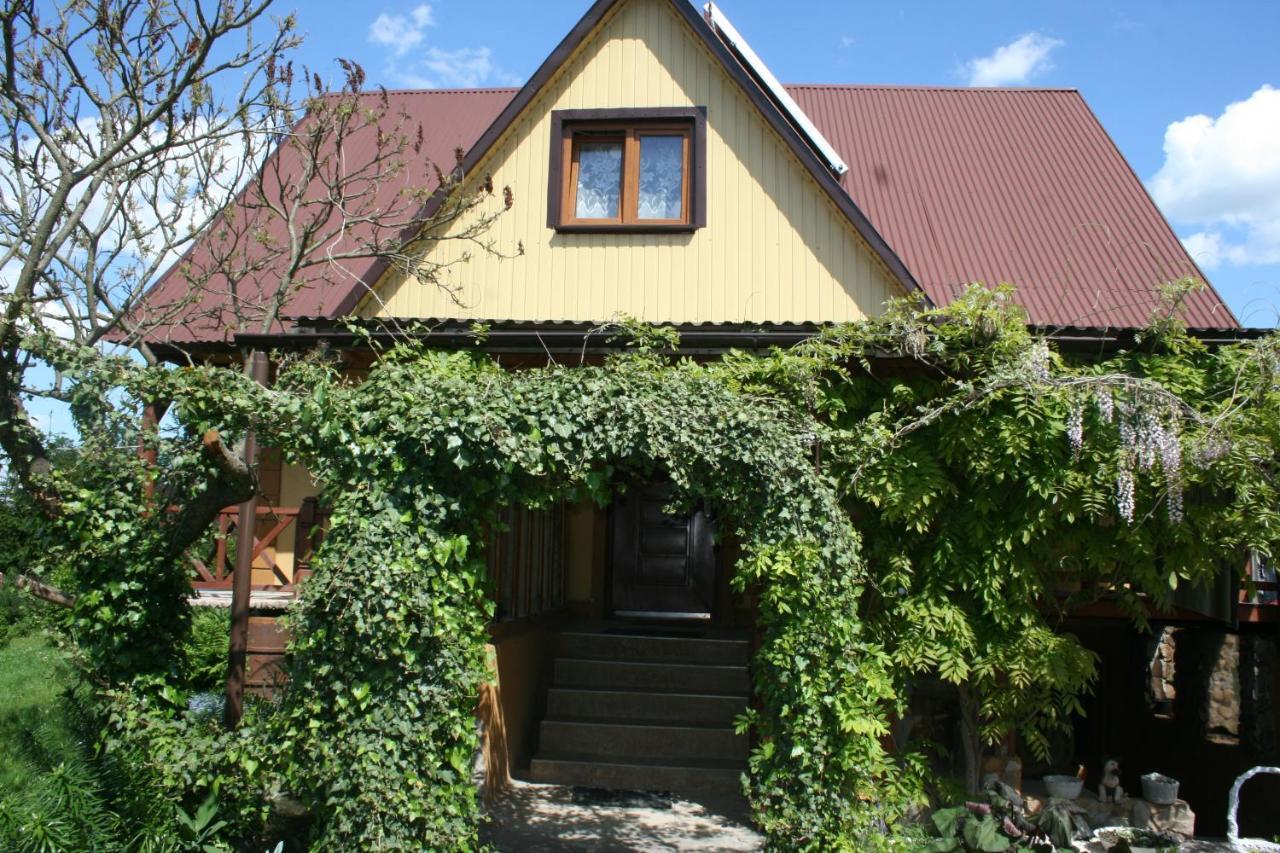 Agroturystyka "Pod Bluszczem" Krasnobród 外观 照片