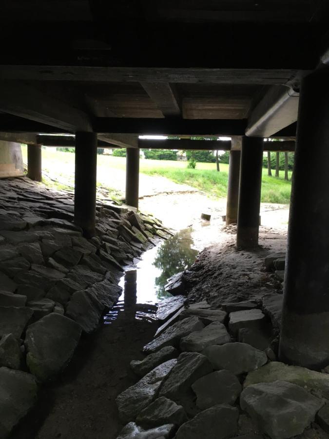 Agroturystyka "Pod Bluszczem" Krasnobród 外观 照片