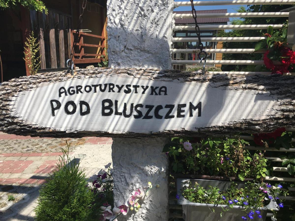 Agroturystyka "Pod Bluszczem" Krasnobród 外观 照片
