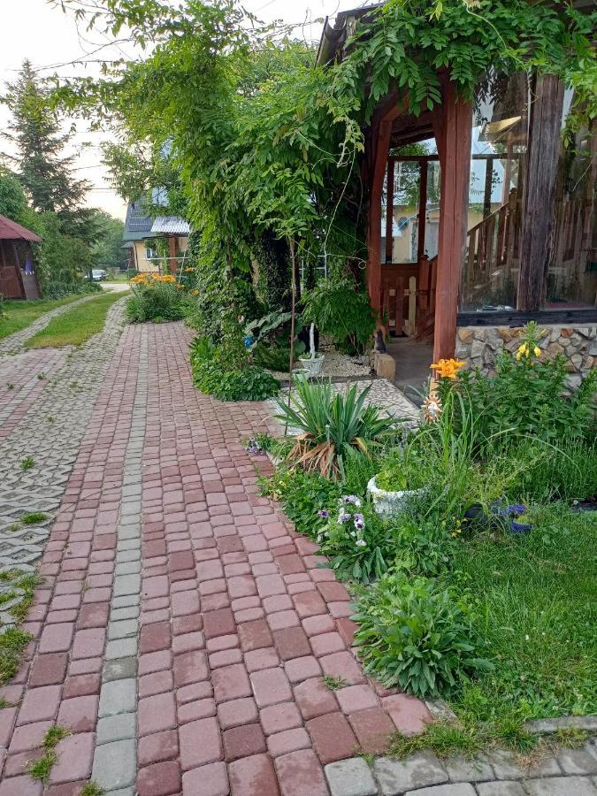 Agroturystyka "Pod Bluszczem" Krasnobród 外观 照片