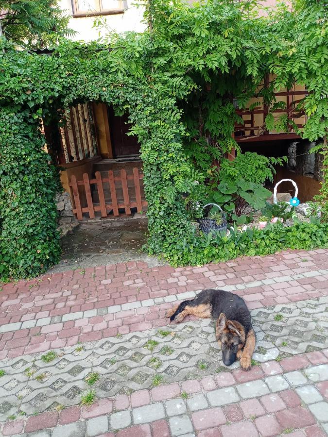 Agroturystyka "Pod Bluszczem" Krasnobród 外观 照片