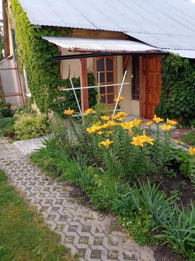 Agroturystyka "Pod Bluszczem" Krasnobród 外观 照片