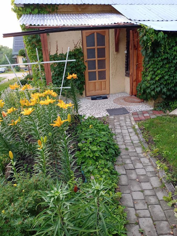 Agroturystyka "Pod Bluszczem" Krasnobród 外观 照片