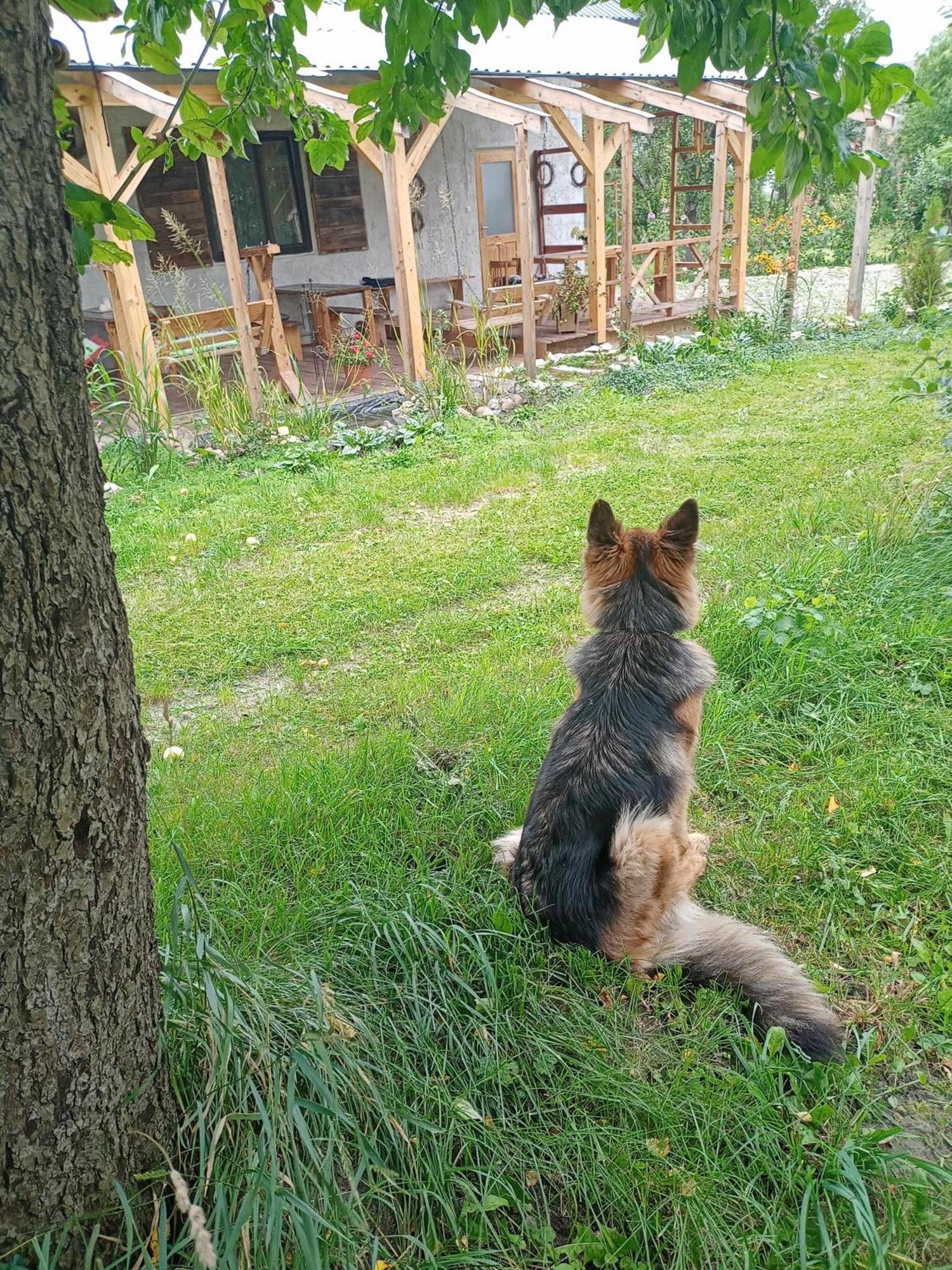 Agroturystyka "Pod Bluszczem" Krasnobród 外观 照片