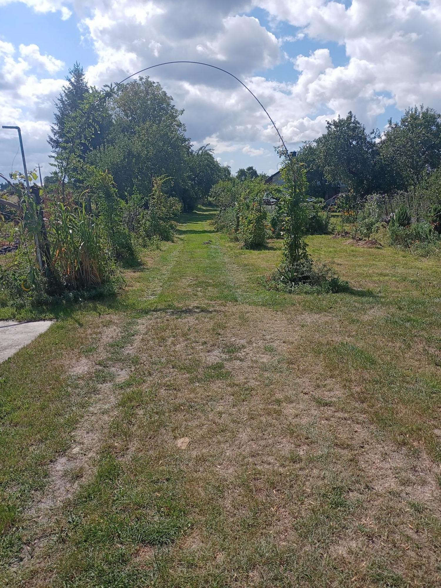 Agroturystyka "Pod Bluszczem" Krasnobród 外观 照片